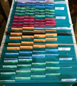 Elfa rolling file cart with Freedom Filer Filing System