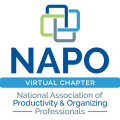 NAPO-virtual-chapter-translucent-stacked (1)